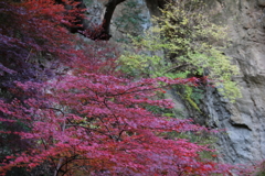 12月7日 布引の滝 18