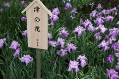 6月6日 須磨離宮公園 42