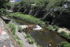 5月14日 長距離散歩 ７