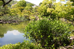 5月23日 相楽園 21