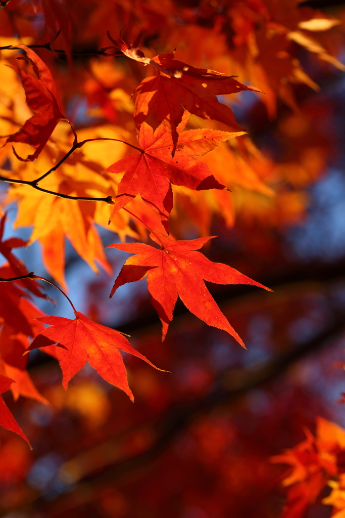 11月30日 奈良