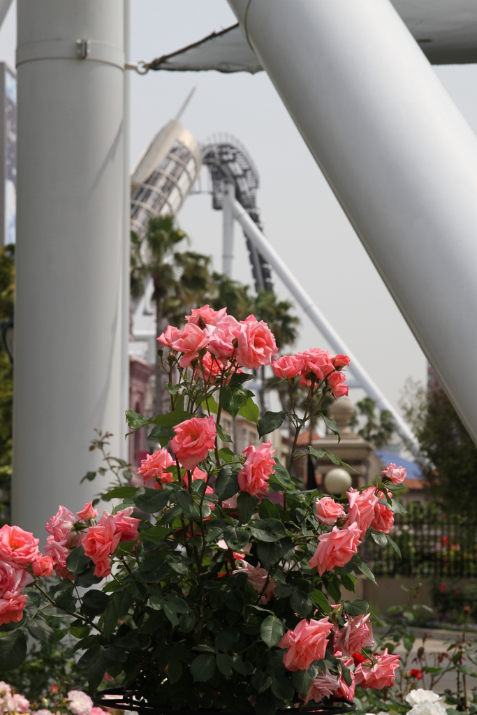 USJ風景 50