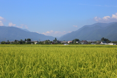 8月9日 松本 ４