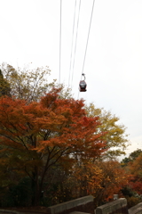 12月7日 布引ハーブ園 27