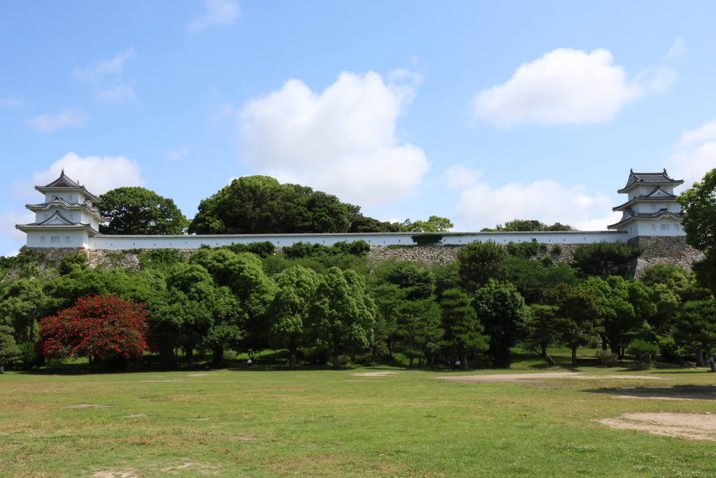 6月16日 明石公園 ４