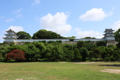 6月16日 明石公園 ４
