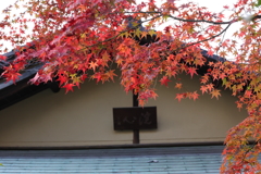 11月28日 相楽園 26