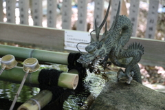 5月14日 長距離散歩 47