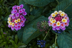 P1050653