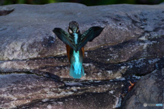 ワタシハウチュウジンダ！
