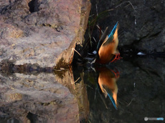 水鏡