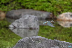 ホバリング