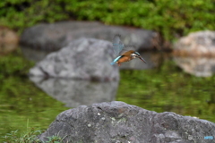 行きま～す！