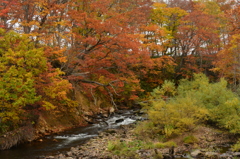 紅葉と渓流