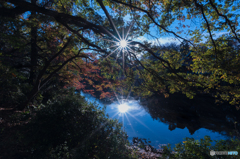 井の頭公園池の目覚め