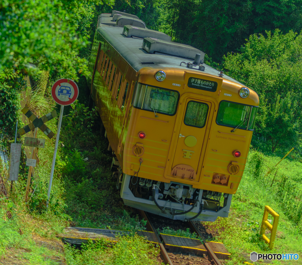 山間の観光列車