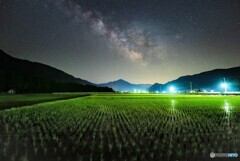 田圃と天の川