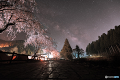 垂れ桜と天の川銀河