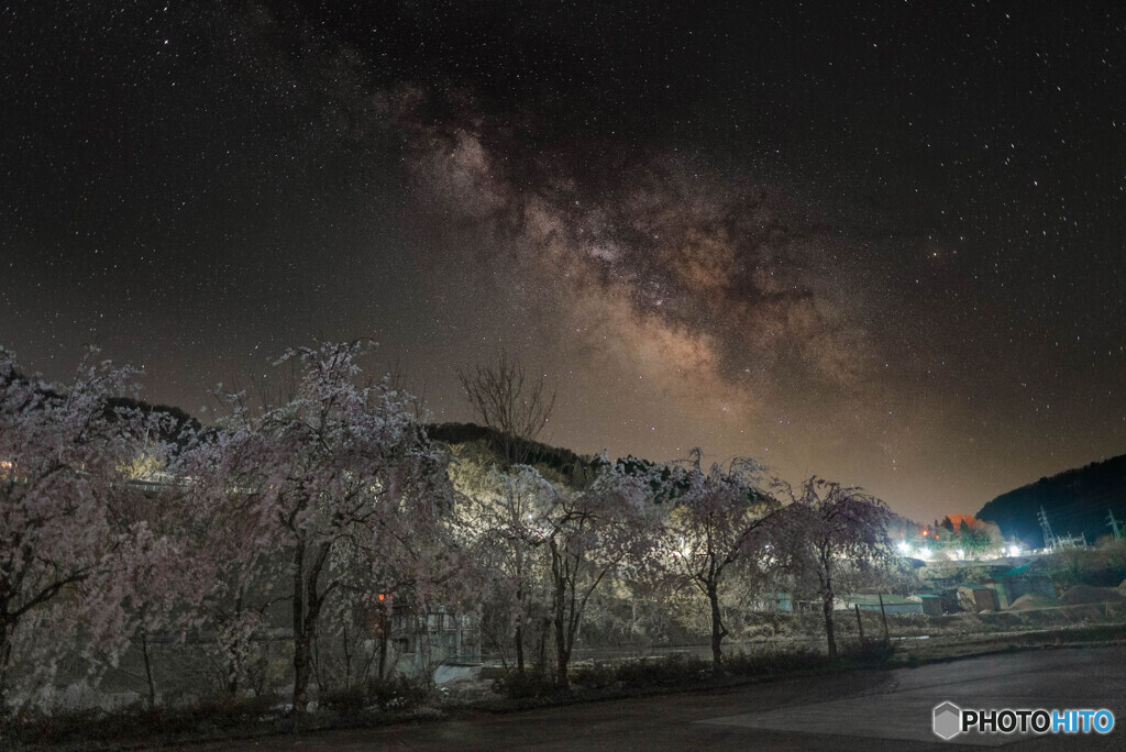 枝垂れ桜と天の川