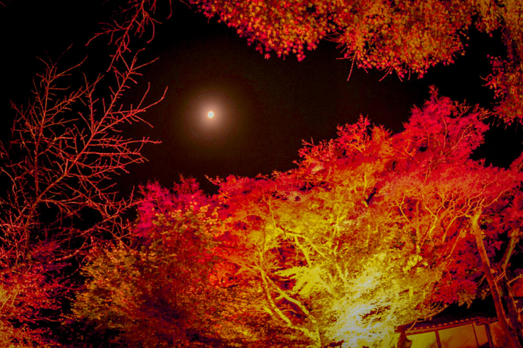 滋賀県石山寺 境内から望む月　2015.11.22