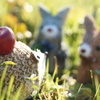ハリネズミくんから、ウサちゃん達へ。