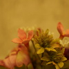 造花だってステキだよ ♪