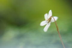 春の深呼吸