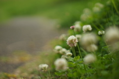 私を見つけてくれて、ありがとう♡