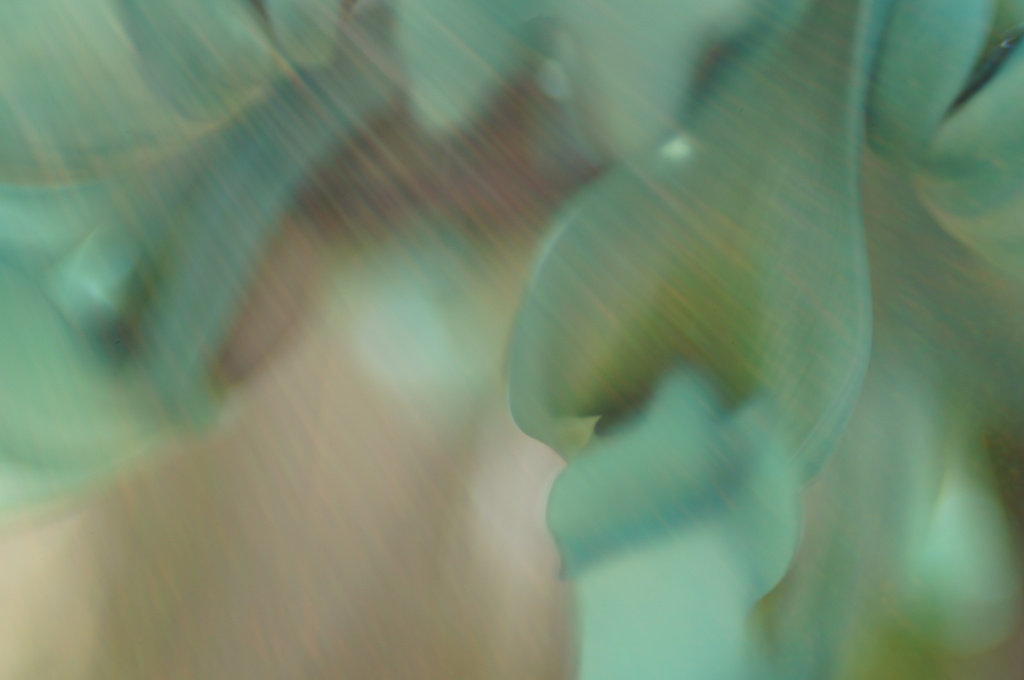 心を癒してくれるキミ