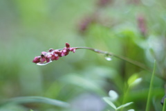 君のその荷物、僕が半分持ってあげるから‥‥