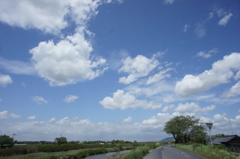 青好きのあの方へ　①