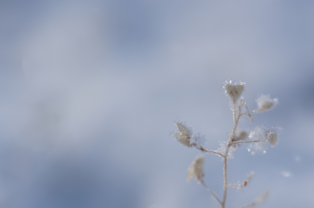 snow jewelry #3