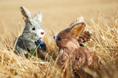 そして、いつも仲良しなウサちゃん達なのでしたー ( ´ ▽ ` )ﾉ