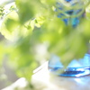 blue × green