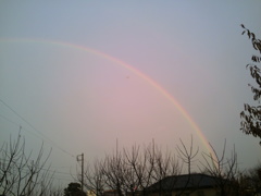 心が動いた瞬間　⑤