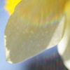 天使の休息