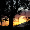 今日の夕日 #２ (2017/11/11)