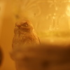 静かすぎる夜は‥‥