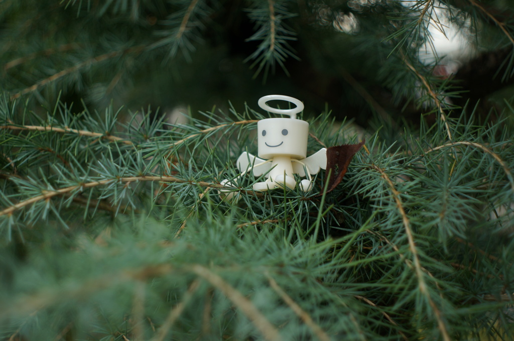 来月はもうクリスマスだーーーっ☆