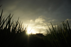 今日の夕日 #3（2016/8/16）