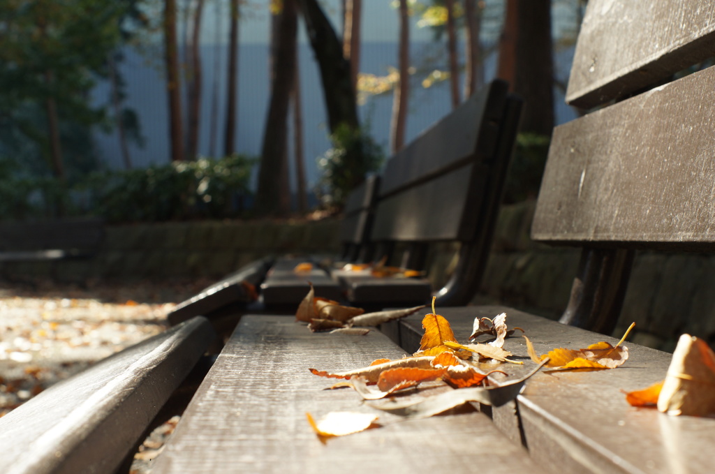 空席のままに・・・