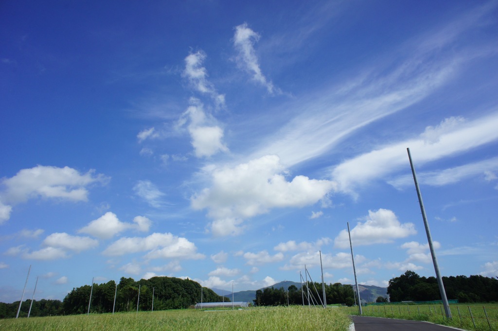 流れる雲にのって♬