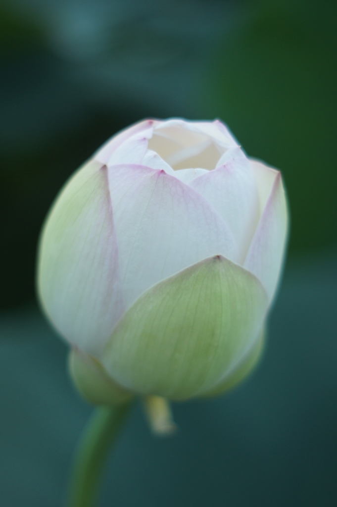 untitled　５