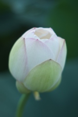 untitled　５