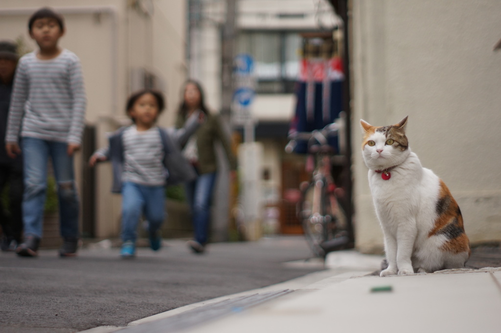 むやみやたらに媚びない人生