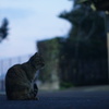 静けみ