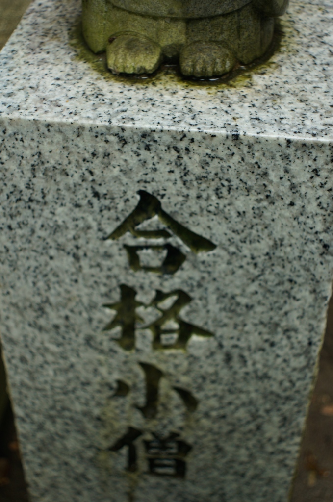 いまだ足元にも及ばず。