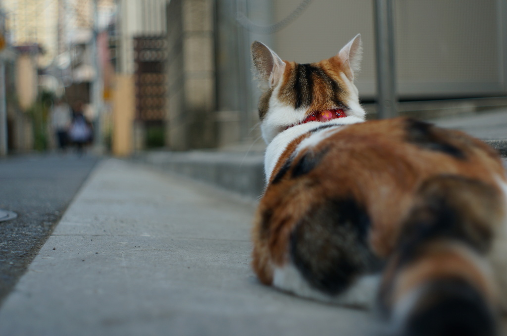 お見送り♡