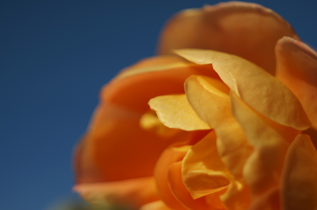 『おひさま堂』再オープンしましたぁ！