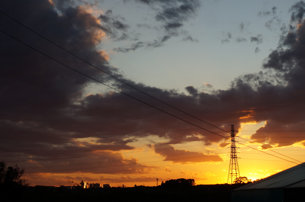 今日の夕日 #1 (2017/11/11)
